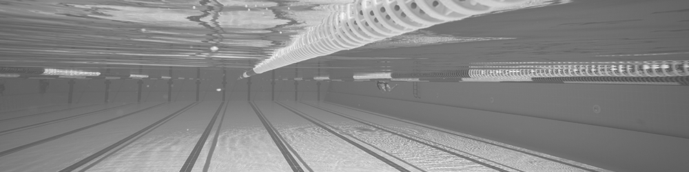 User-Experience-Swim-Lanes