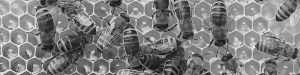 Beehive as an example of a design system